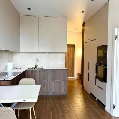 Apartment Stylish With Sea View In Arcadia Odesa